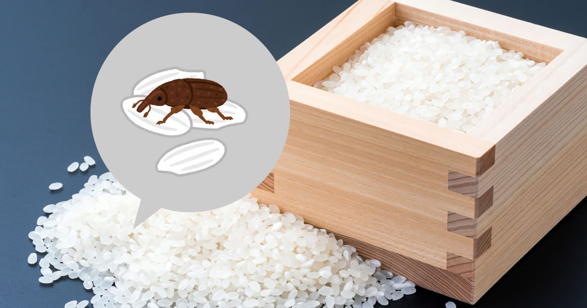 米ぬかみたいな虫 _ 米ぬか 土に混ぜる , 使用済みの米ぬかを直接土に埋めたら虫わきますか? – GZMVZ
