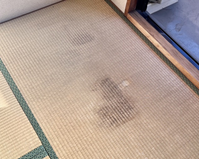 カビが生えた畳