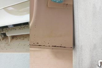 秋カビ
